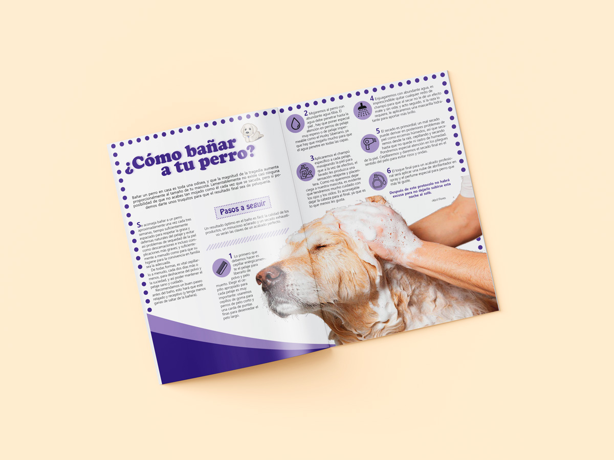 Mockup 4 revista