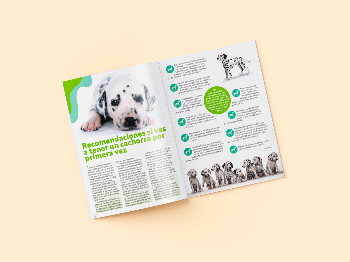 Mockup 5 revista