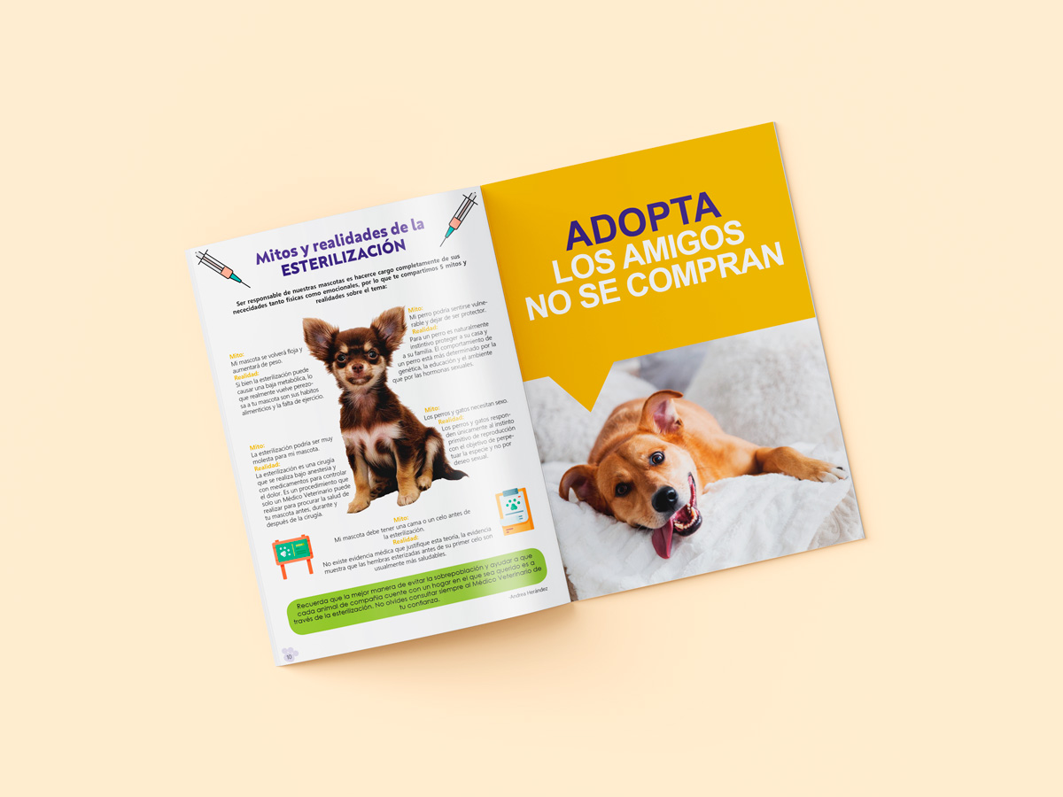 Mockup 6 revista