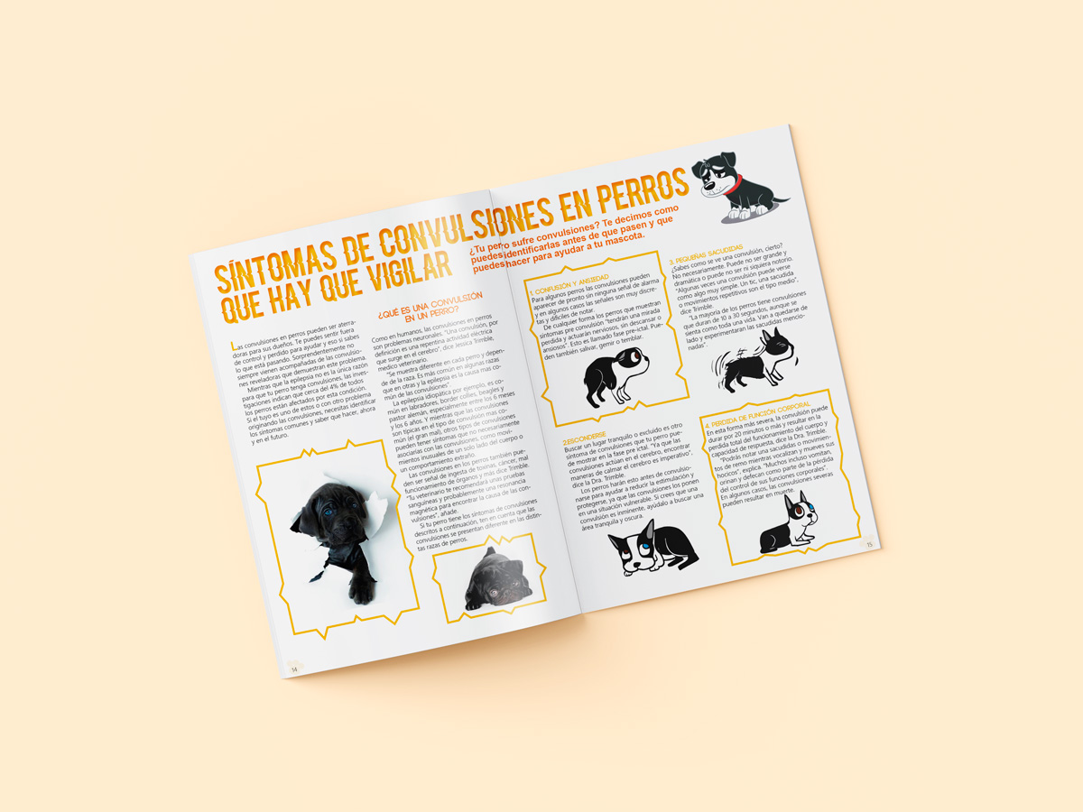 Mockup 8 revista