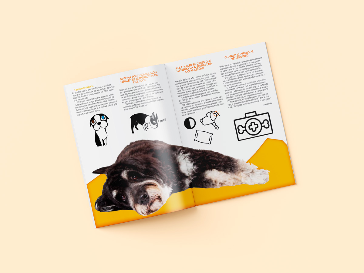 Mockup 9 revista